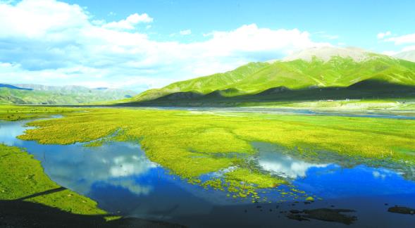 國家林草局,青海省深刻領會並認真貫徹黨中央,國務院建設決策部署