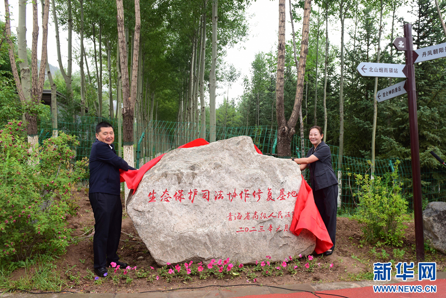 青海“南北山生态保护司法协作修复