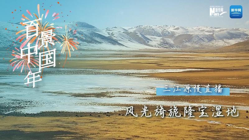 百景中國年丨風光旖旎隆寶濕地