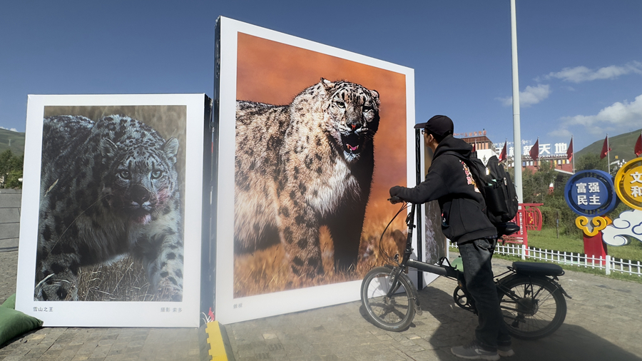 定格玉樹之美 2024第二屆中國野生動物攝影大展開幕