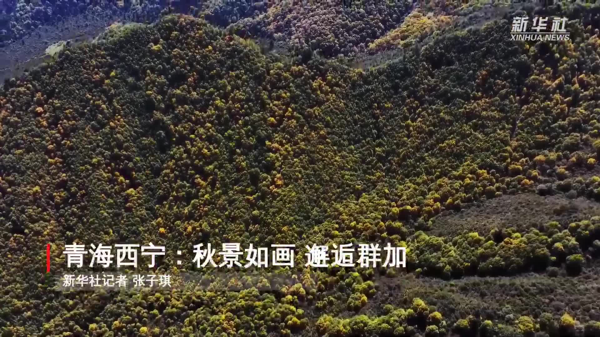 青海西宁：秋景如画 邂逅群加