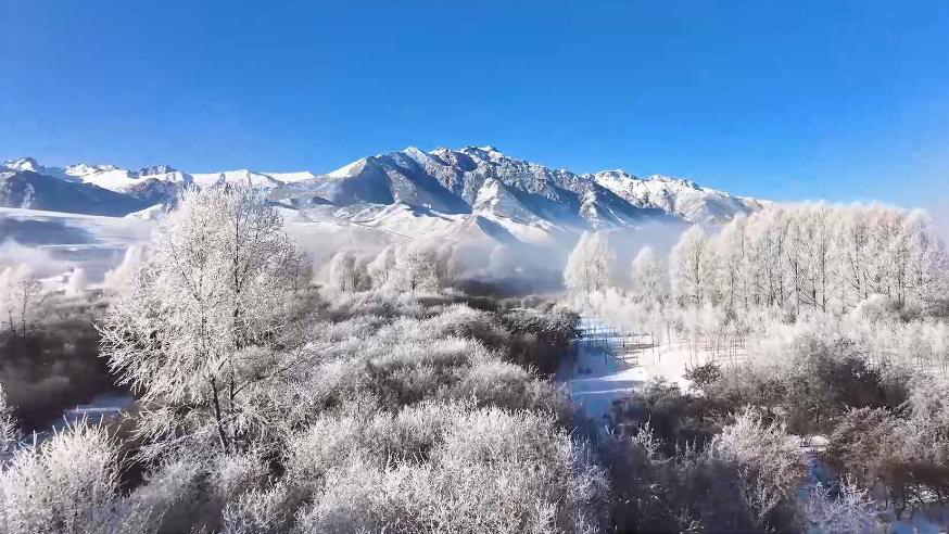 青海门源：雪后雾凇宛如仙境