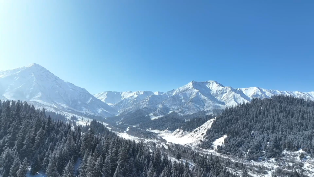 雪域绽芳华 巾帼护青山