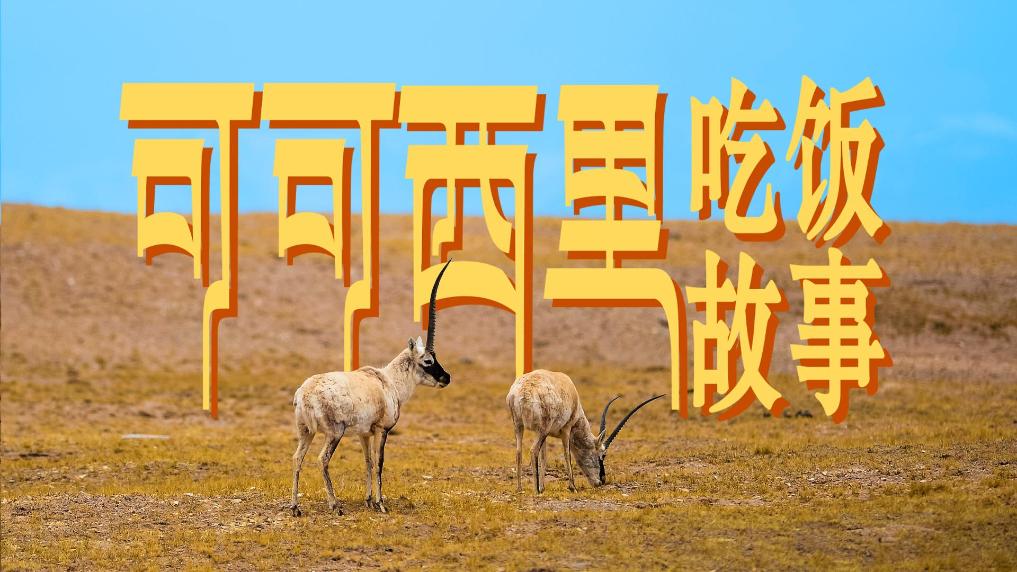 可可西裏吃飯故事：走進荒野守護者的廚房