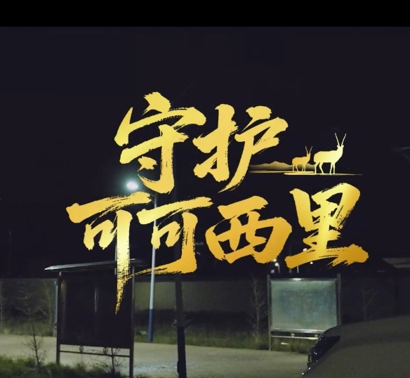 守护可可西里｜深夜，直击“熊出没”！