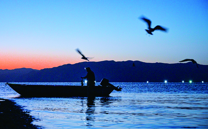 齐芷玥:龙羊峡畔的高原“渔光曲”|新华走笔