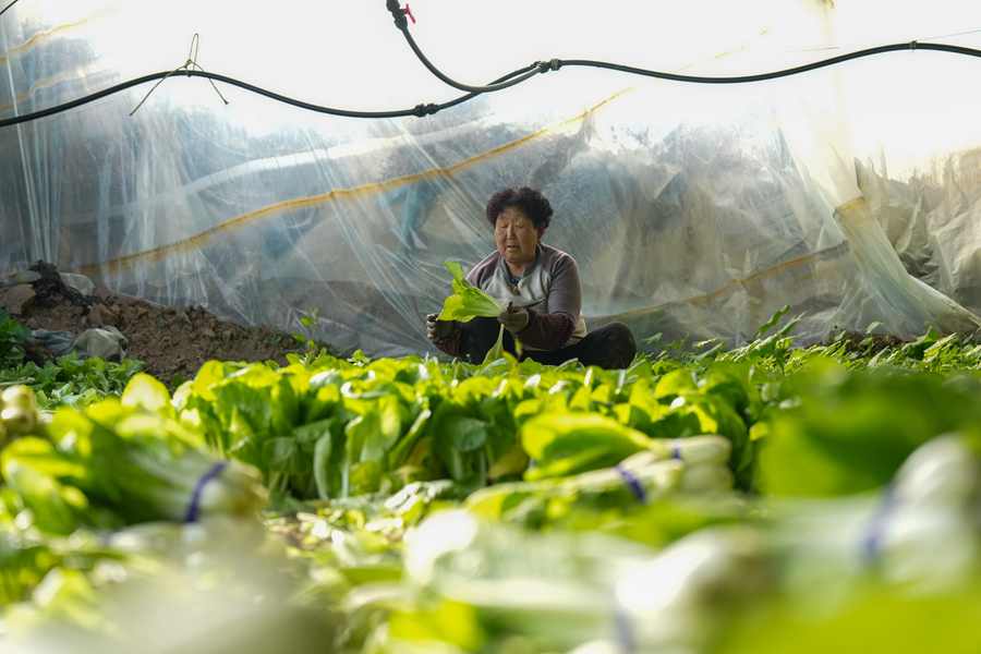 “冷资源”渐成高原“热产业”