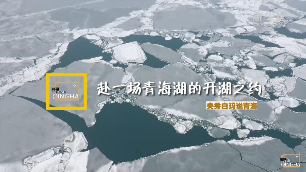 央秀白玛说青海 | 赴一场青海湖的开湖之约