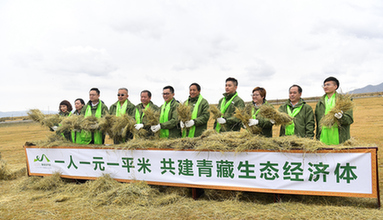“绿哈达行动”青藏高原植草突破1100万平方米