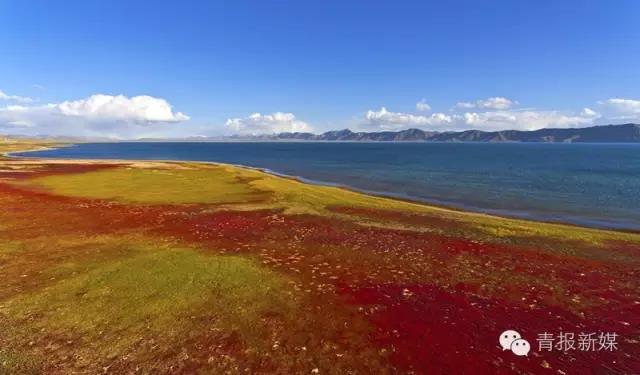 青海竟然有一片“一千座山围成的湖”，颜值爆表！