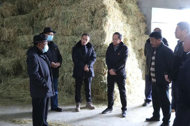 果洛州政协副主席张文庆来玛多县调研生态畜牧发展情况