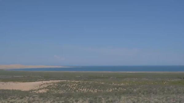 全球連線｜中國最大內陸鹹水湖畔沙地變綠洲