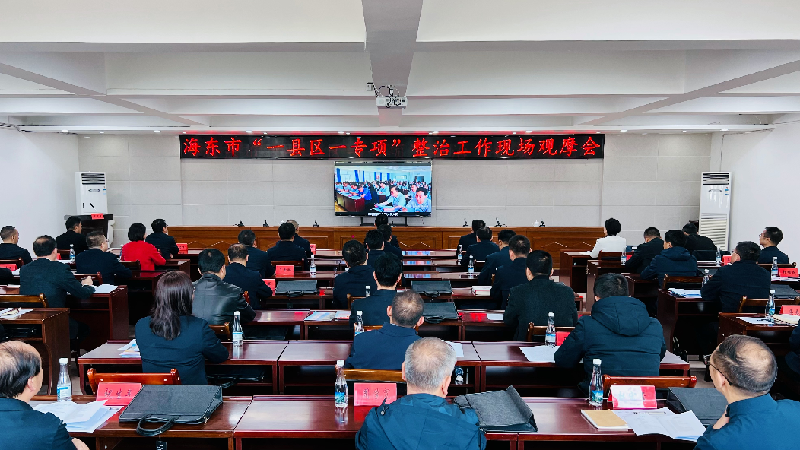 中国“一县区一专项”整治工作现场观摩会